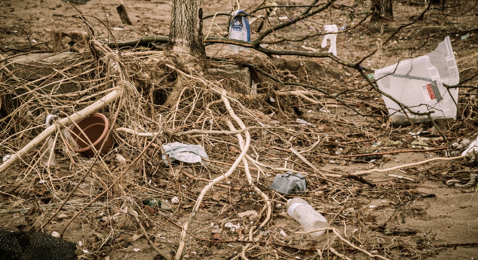 art-of-sandy-mo-staten island 2-96.jpg